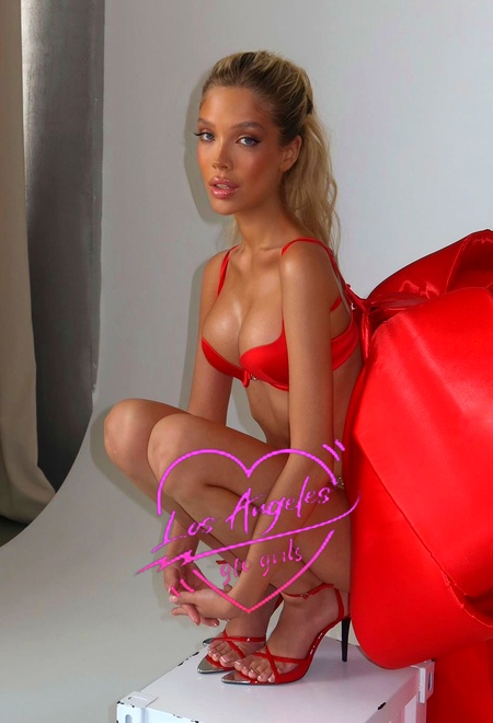 brunette companions in Los Angeles, Los Angeles premium escorts, premium escort Los Angeles, high class Los Angeles escort, top-class escorts Los Angeles, elite Los Angeles escorts, high-class escorts Los Angeles, premium escorts Los Angeles, brunette companions in Los Angeles, vip Los Angeles escorts, young escorts Los Angeles